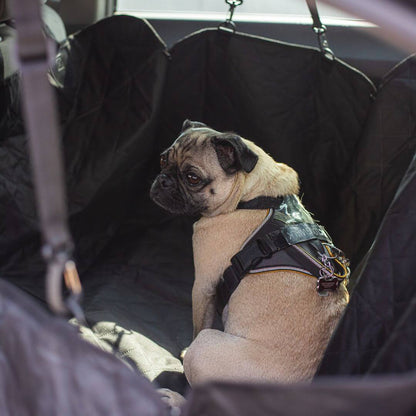 Premium Pet Car Seat Protector for Mess Free Travel