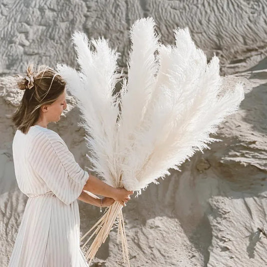 Natural Dried Pampas Grass for Home Decoration - Lusomart