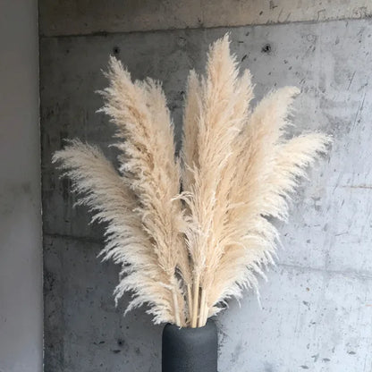 Natural Pampas Grass for Rustic Wall Decoration