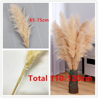 Natural Dried Pampas Grass for Home Decoration