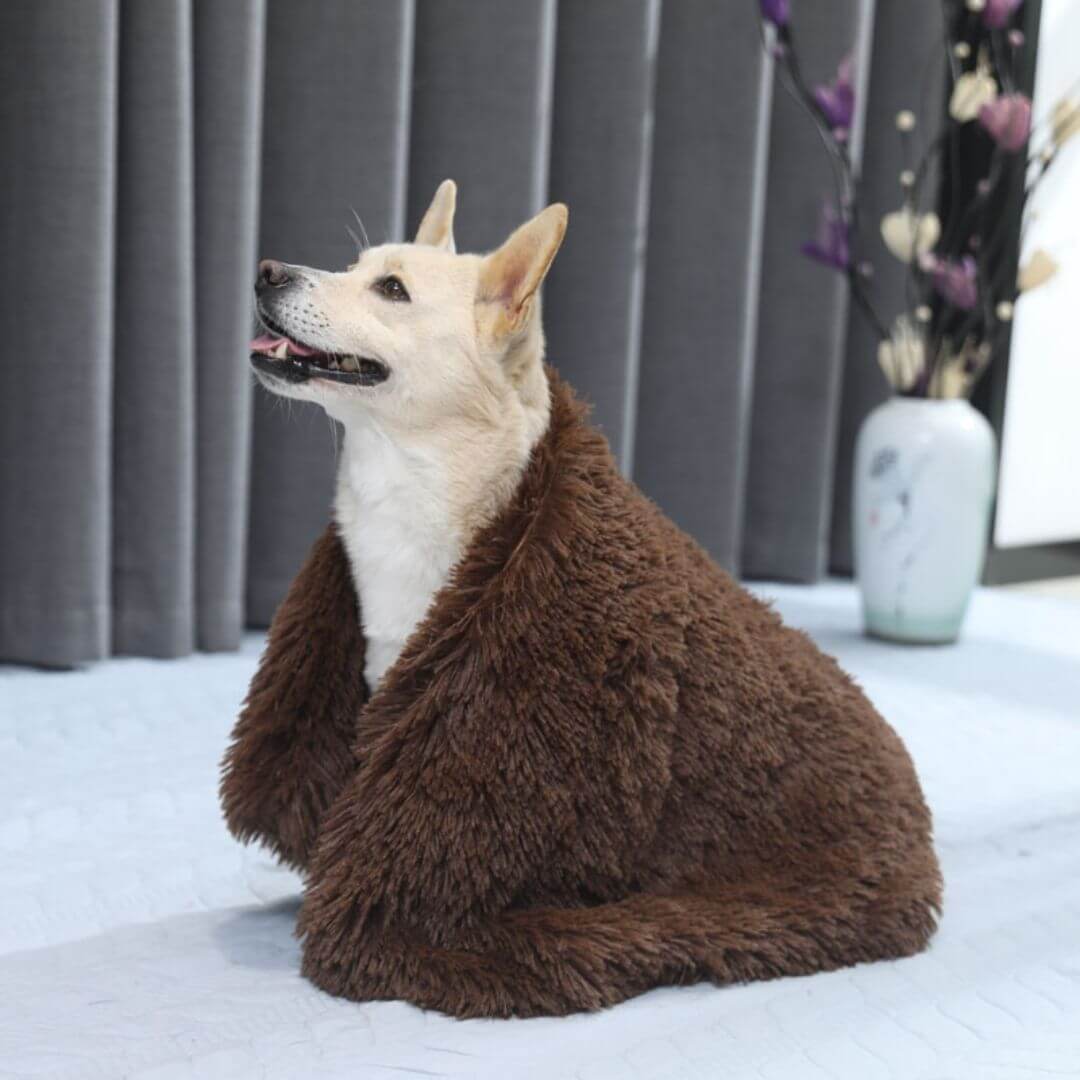 Soft Plush Pet Blanket for Calming Comfort