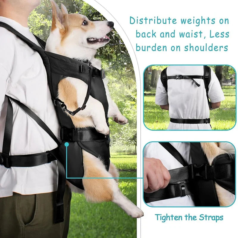 Paw Friendly Outdoor Pet Backpack Carrier