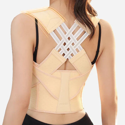Ergonomic Back Support Cushion