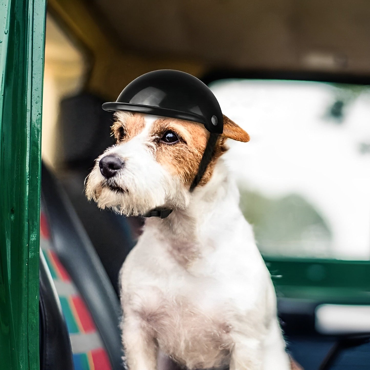 Pet Motorcycle Helmet and Goggles Safe Dog Riding Gear - Lusomart