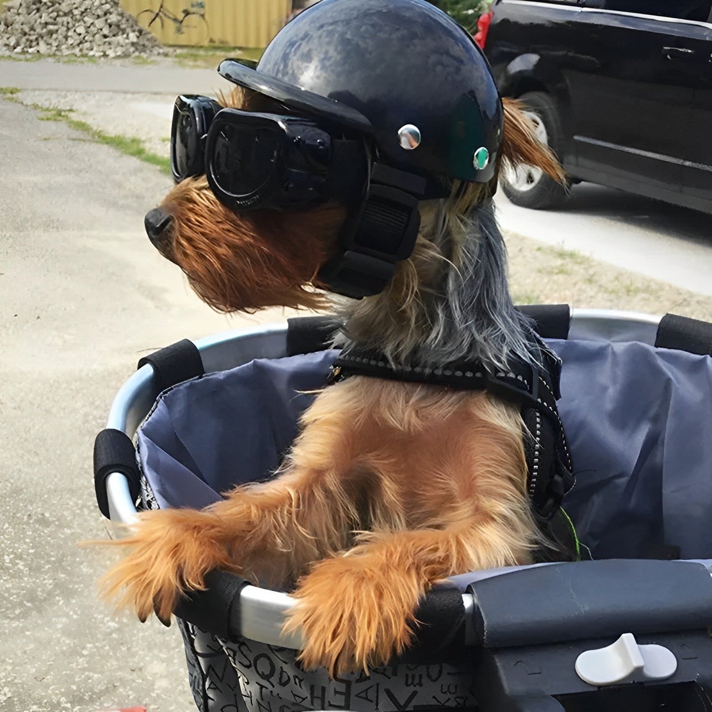 Pet Motorcycle Helmet and Goggles Safe Dog Riding Gear