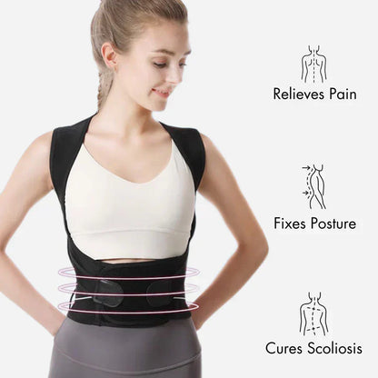 Ergonomic Back Support Cushion