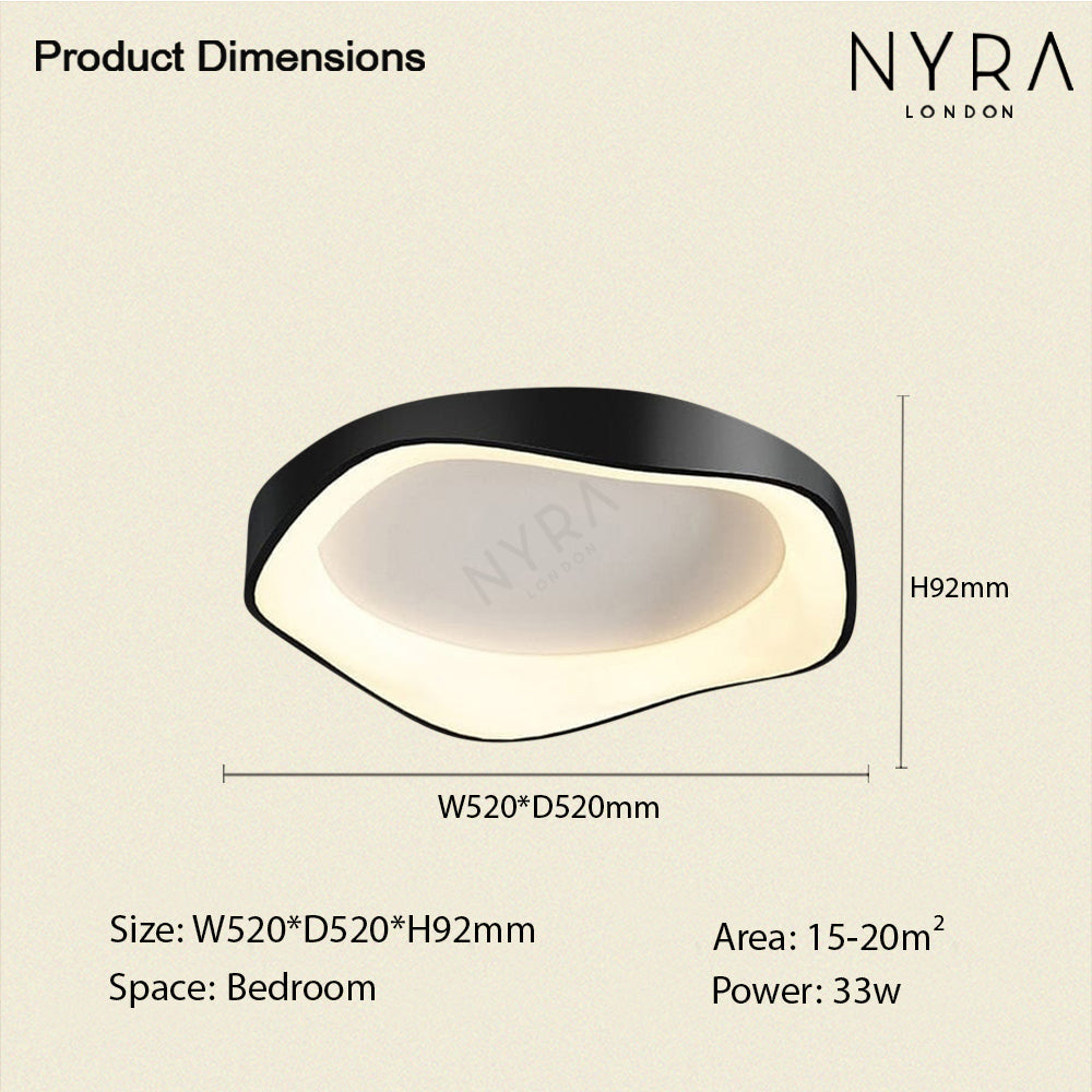 Modern LED Ceiling Wall Light
