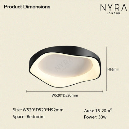 Modern LED Ceiling Wall Light