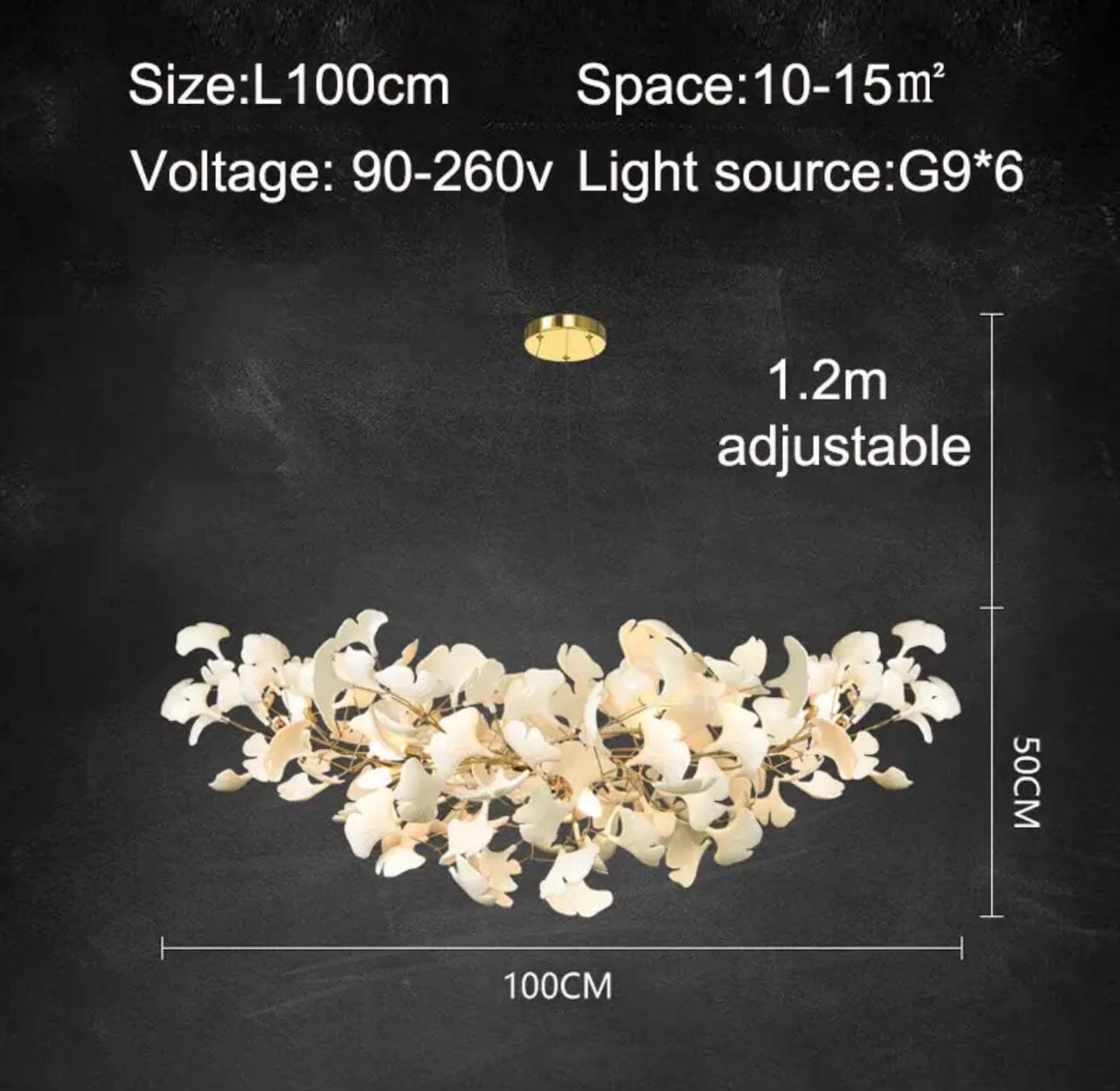 Elegant Dimmable LED Ceiling Light Fixture