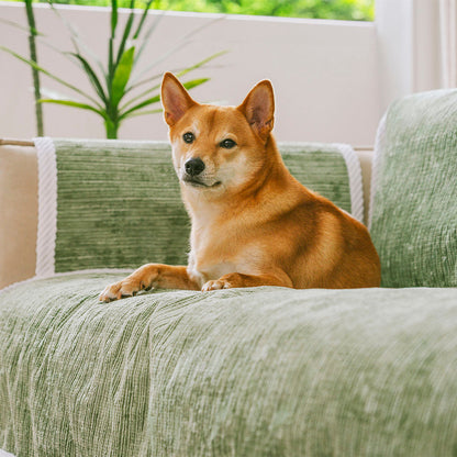 Durable Non-Slip Patterned Pet Mat Floor Protector