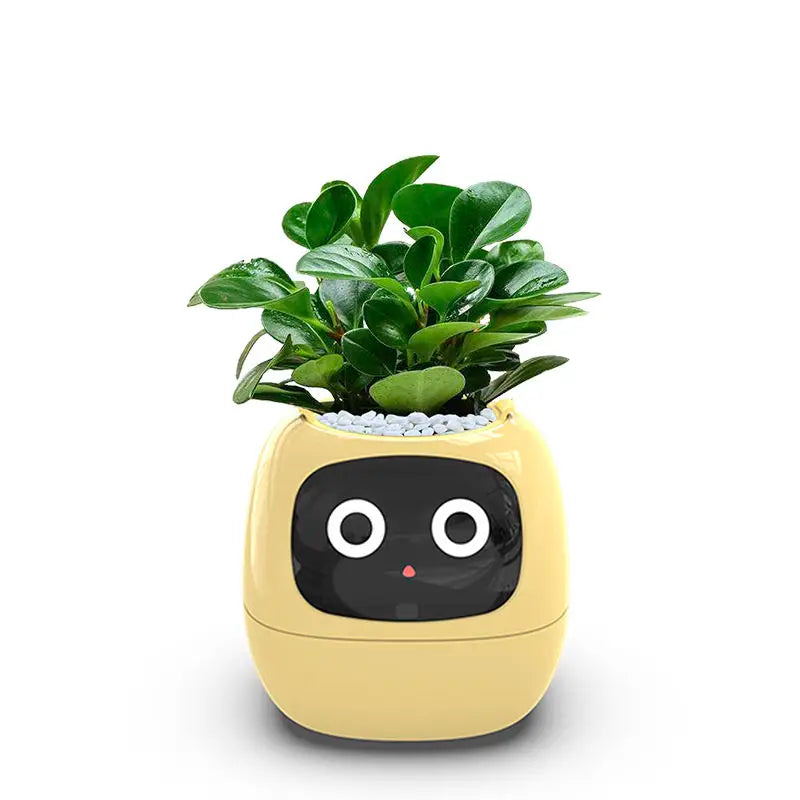 Intelligent Self Watering Indoor Planter With Sensors