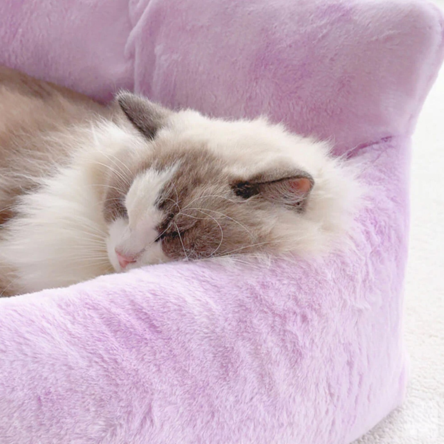 Colorful Pet Dog Sofa Bed Super Soft Plush Cushion