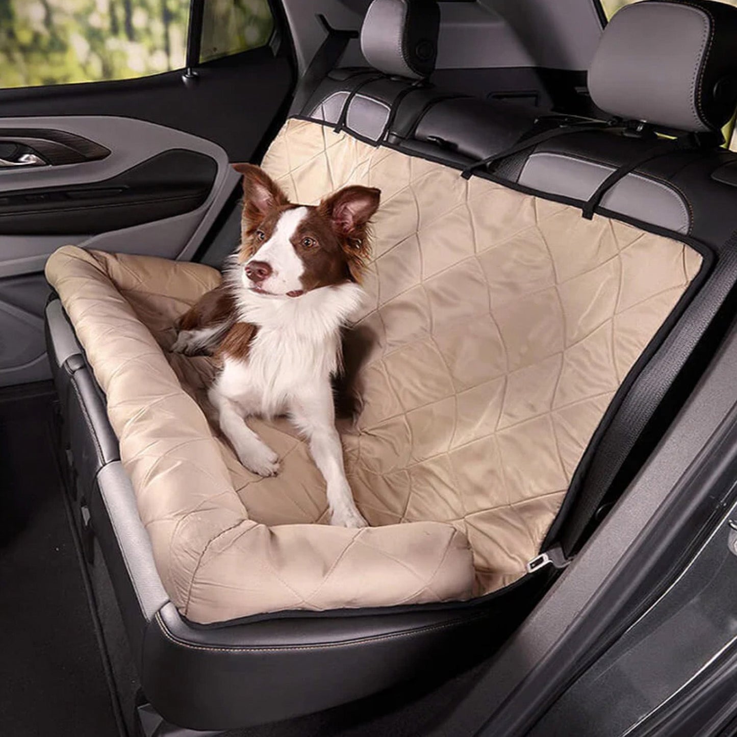 Pet Car Booster Seat - Safe and Roomy