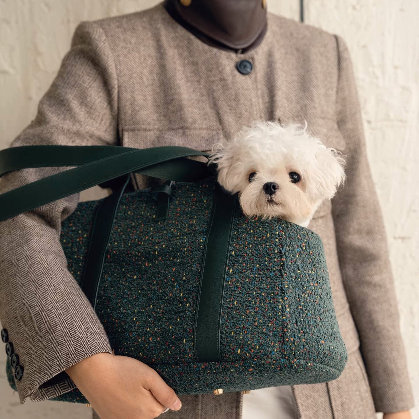 Cozy Plush Pet Carrier Bag