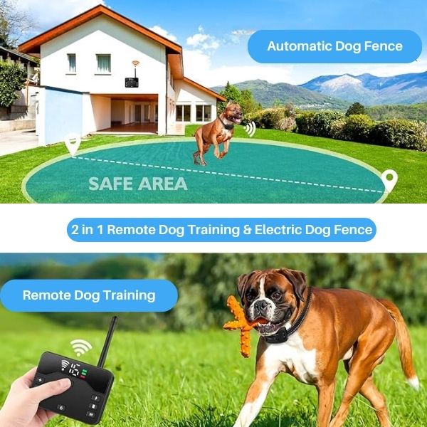 Wireless Pet Containment System and Training Collar
