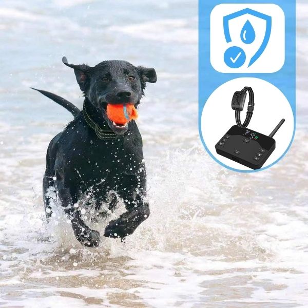 Wireless Pet Containment System and Training Collar