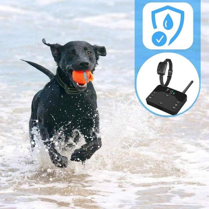 Wireless Pet Containment System and Training Collar