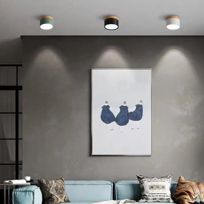 Bright Modern LED Ceiling Lamp for Home