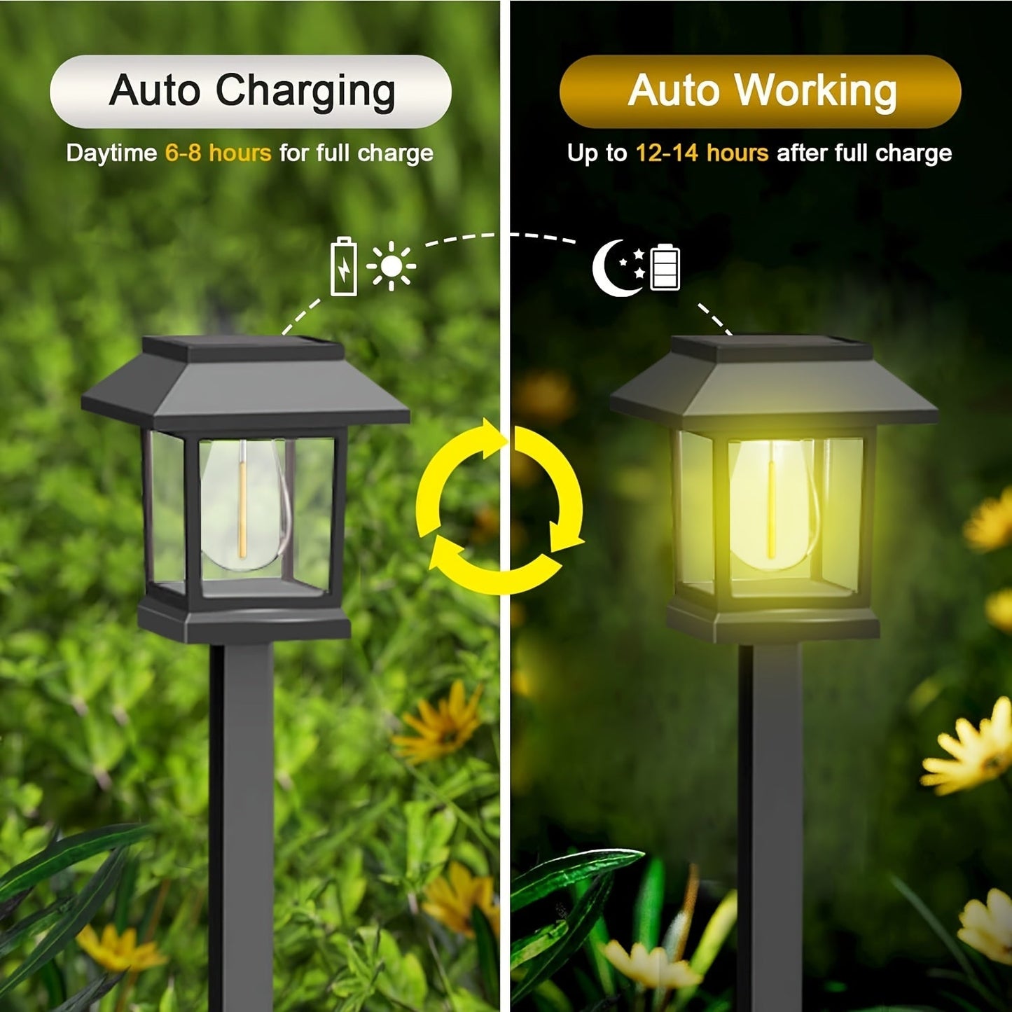 Outdoor Solar Powered Path Lights
