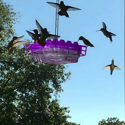 Colorful Bird Feeder Hanging Nectar Station