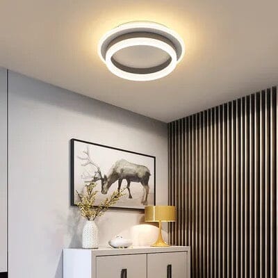 Elegant Entryway Ceiling Light