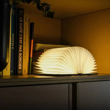Portable Foldable Desk Lamp