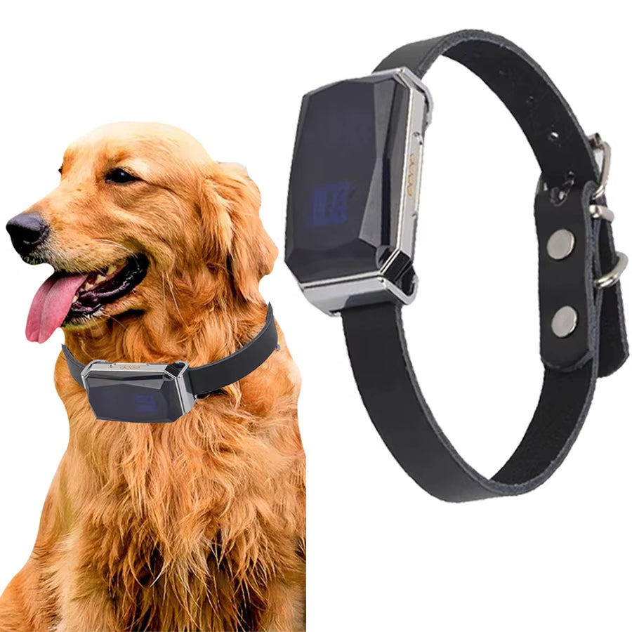Accurate Pet GPS Tracker Collar for Dogs Cats Easy Use