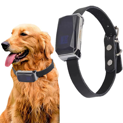 Accurate Pet GPS Tracker Collar for Dogs Cats Easy Use