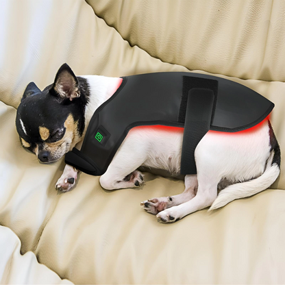 Heated Pet Therapy Wrap for Pain Relief and Comfort
