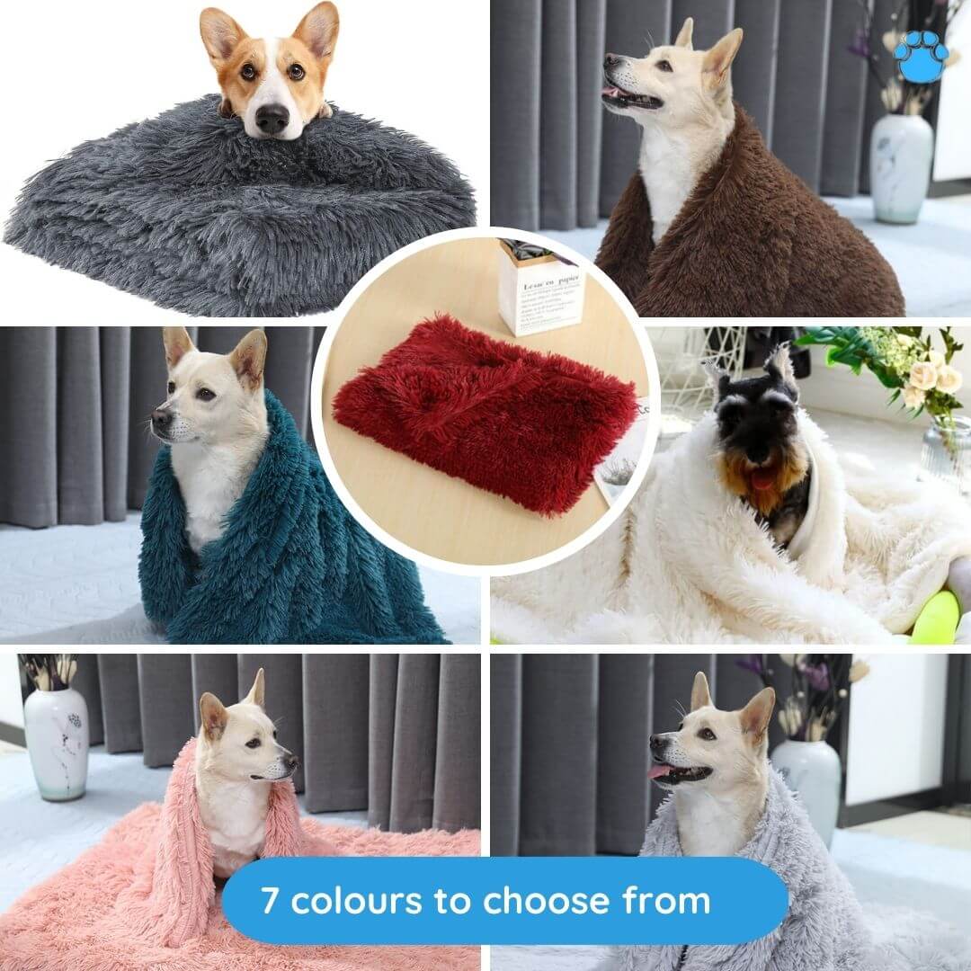 Soft Plush Pet Blanket for Calming Comfort
