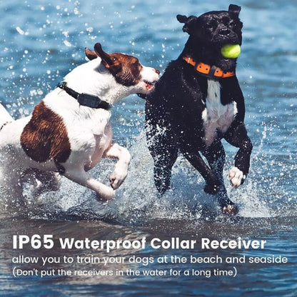 Rechargeable Waterproof Dog Shock Training Collar