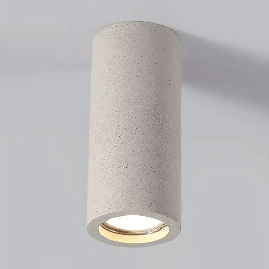 Elegant Home Ceiling Light Fixture