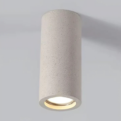 Elegant Home Ceiling Light Fixture