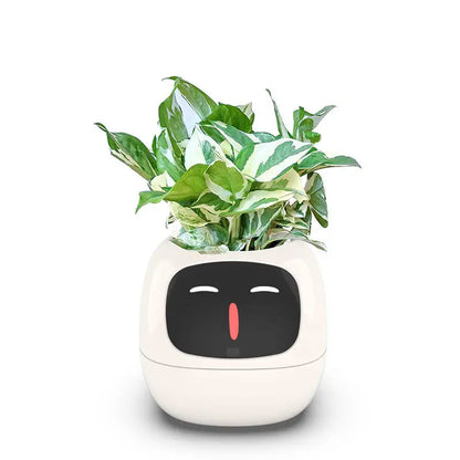 Intelligent Self Watering Indoor Planter With Sensors