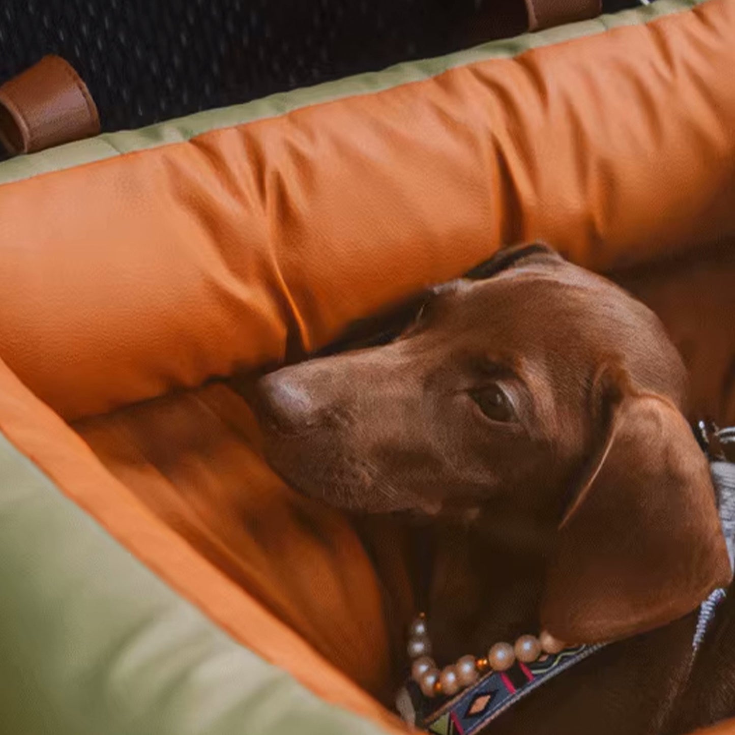 Plush Pet Car Booster Seat