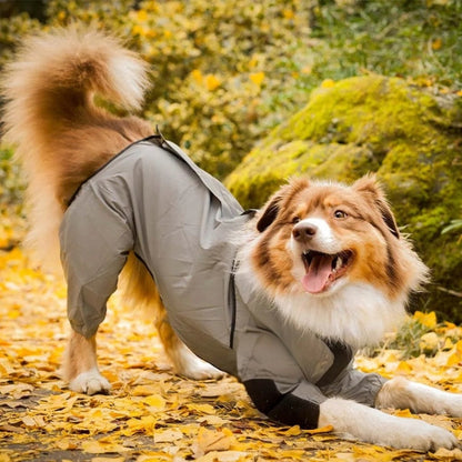Waterproof Dog Rain Jacket with Leg Covers All Sizes