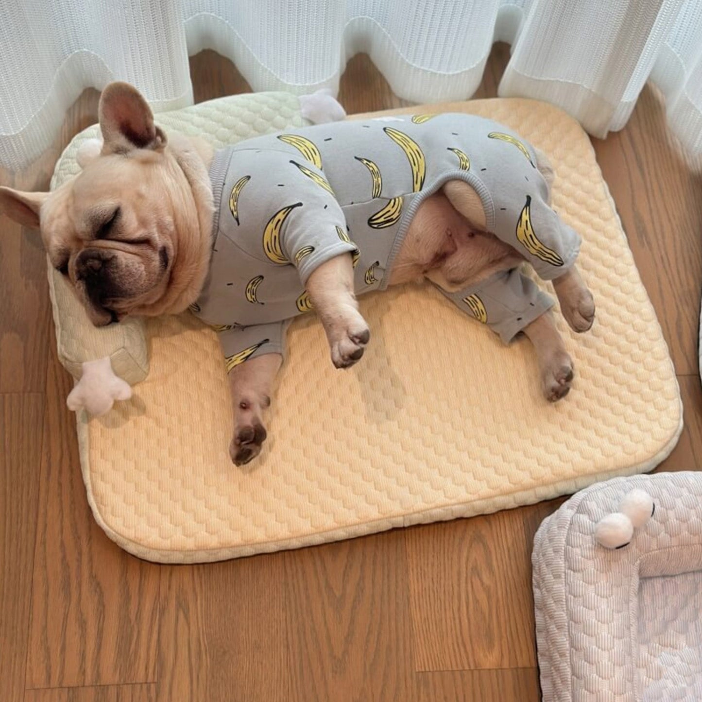 Comfortable Pet Bed with Supportive Cooling Design