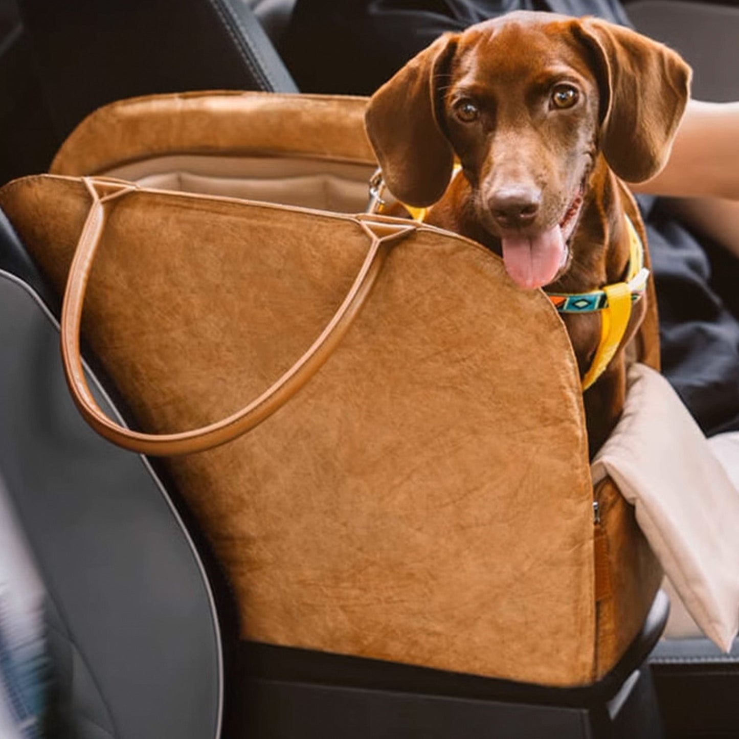 Compact Pet Carrier Bag - Lightweight & Ventilated
