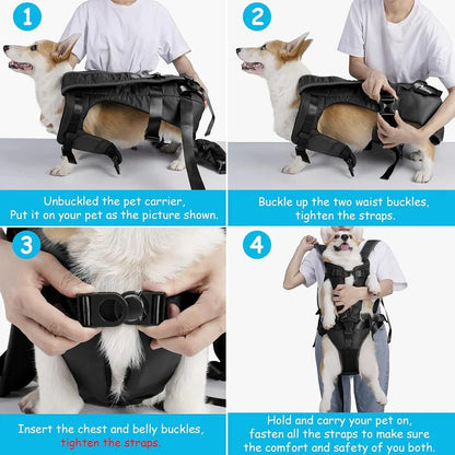 Paw Friendly Outdoor Pet Backpack Carrier