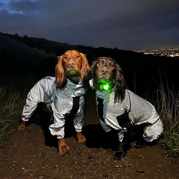 Waterproof Dog Rain Jacket with Leg Covers All Sizes