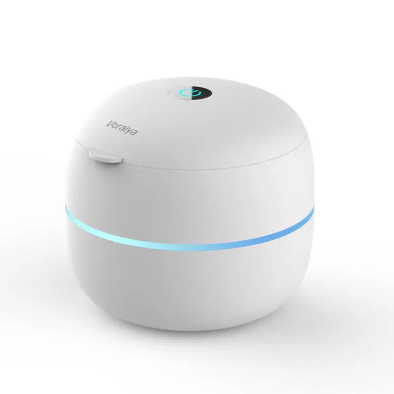 Quick Ultrasonic Denture Cleaning Device