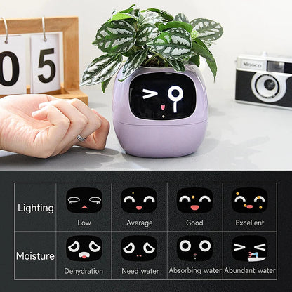 Intelligent Self Watering Indoor Planter With Sensors