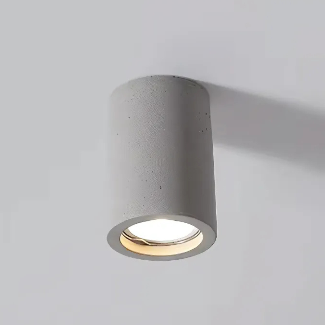 Elegant Home Ceiling Light Fixture