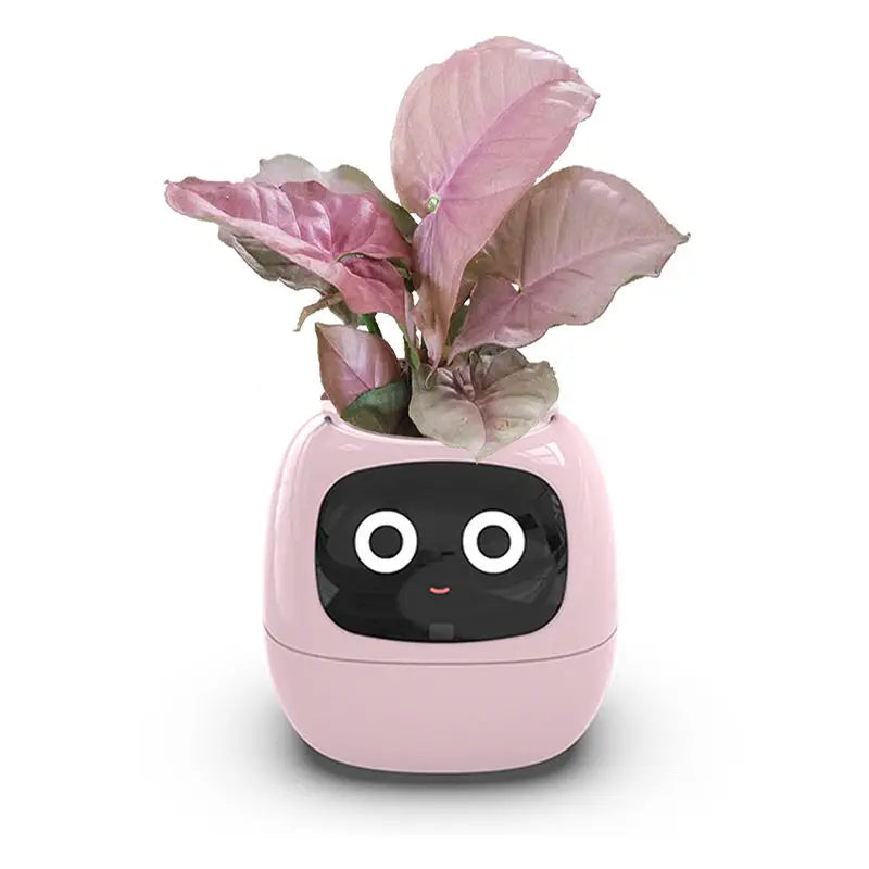 Intelligent Self Watering Indoor Planter With Sensors