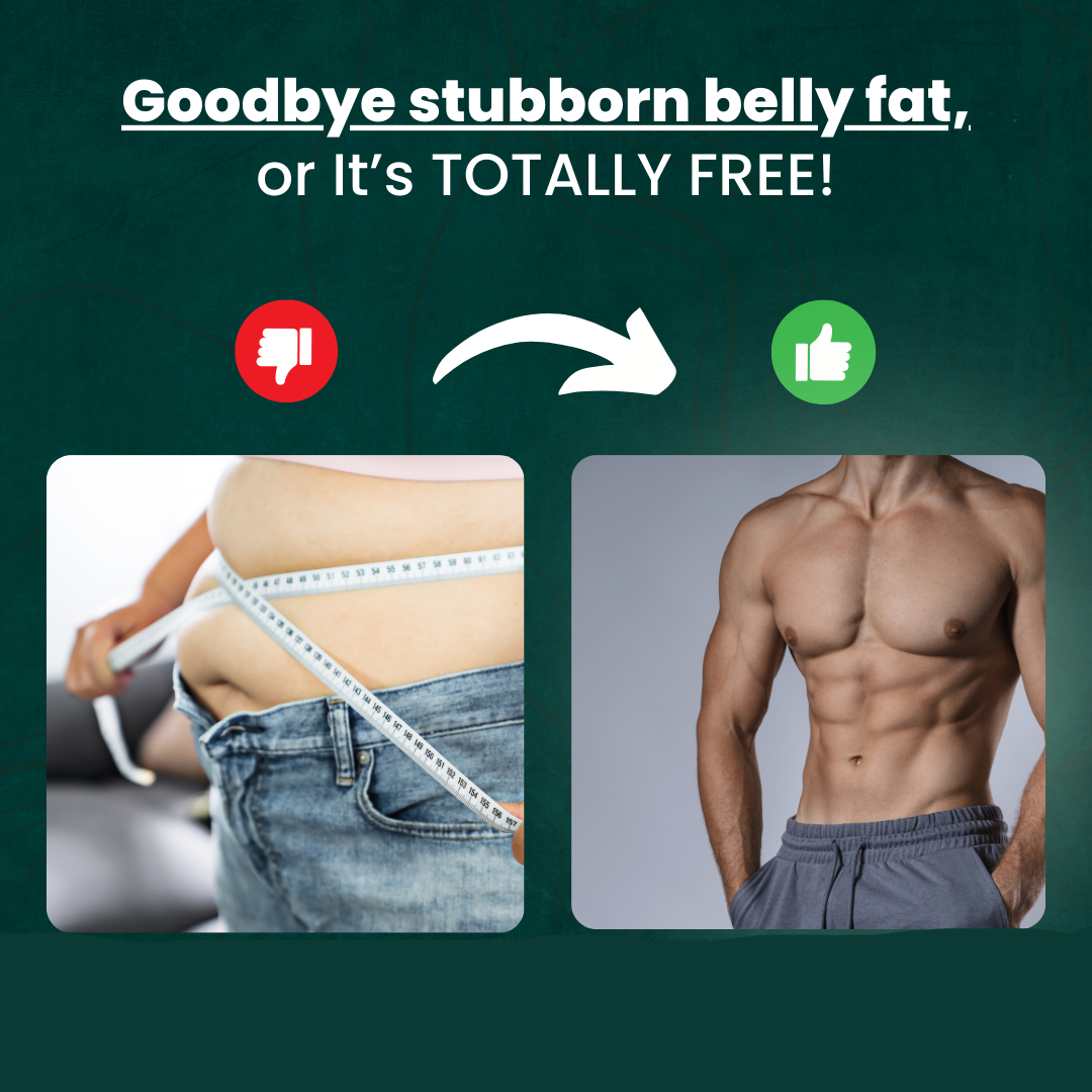Electronic Muscle Tone Belly Trainer