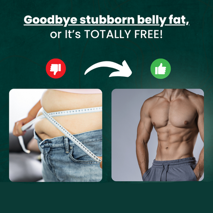 Electronic Muscle Tone Belly Trainer