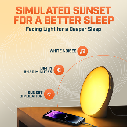 Wake Up Light LED Alarm Clock With Snooze
