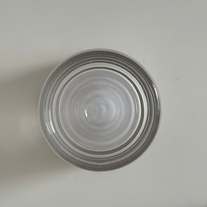 Wall Mount Sconce Light Fixture