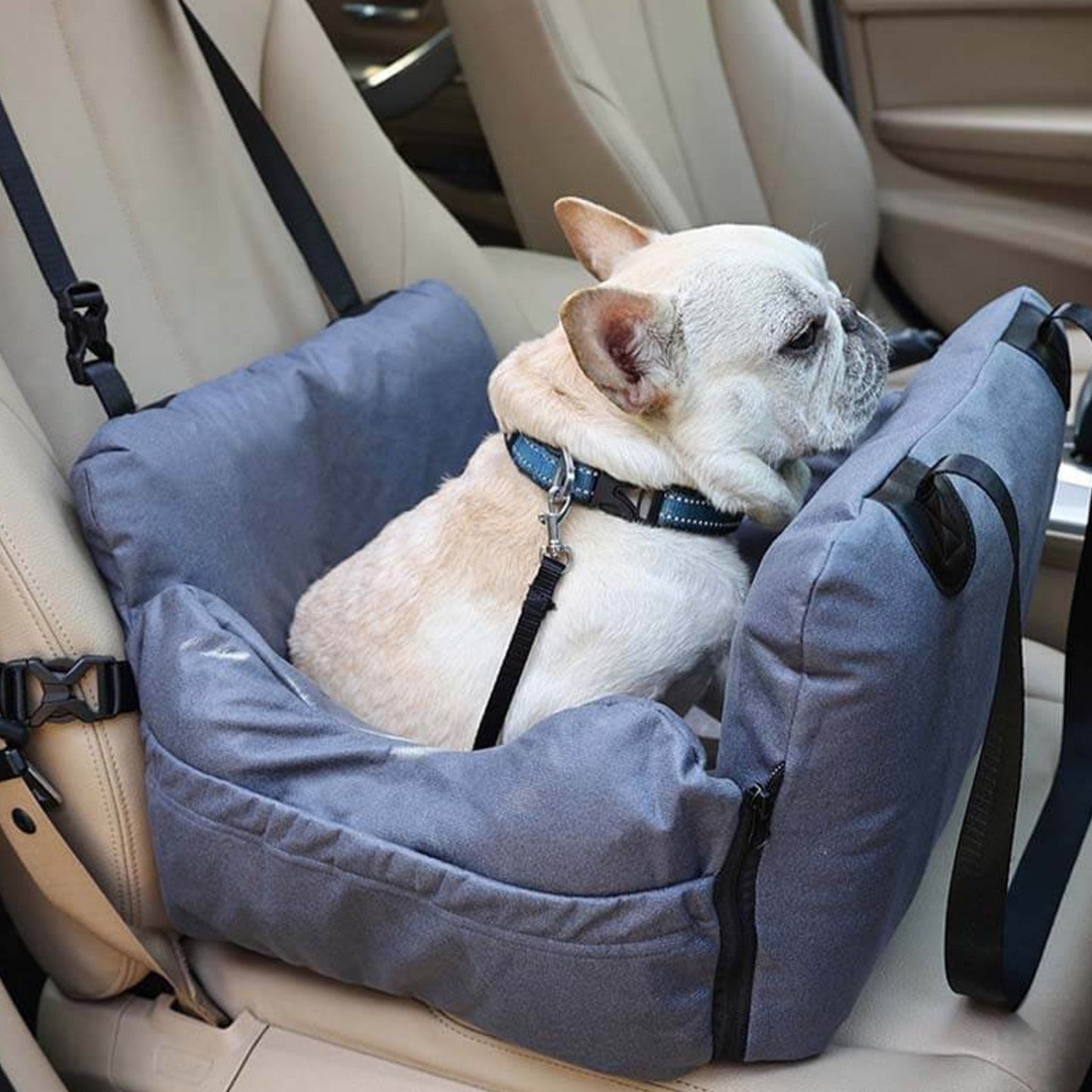 Versatile Pet Car Bed and Carrier Set