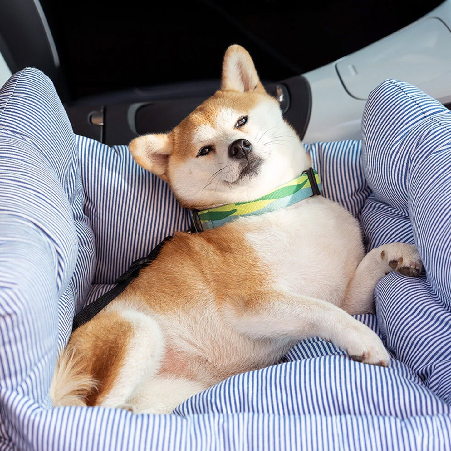 Practical Pet Car Seat & Travel Bag - Safe & Easy Clean